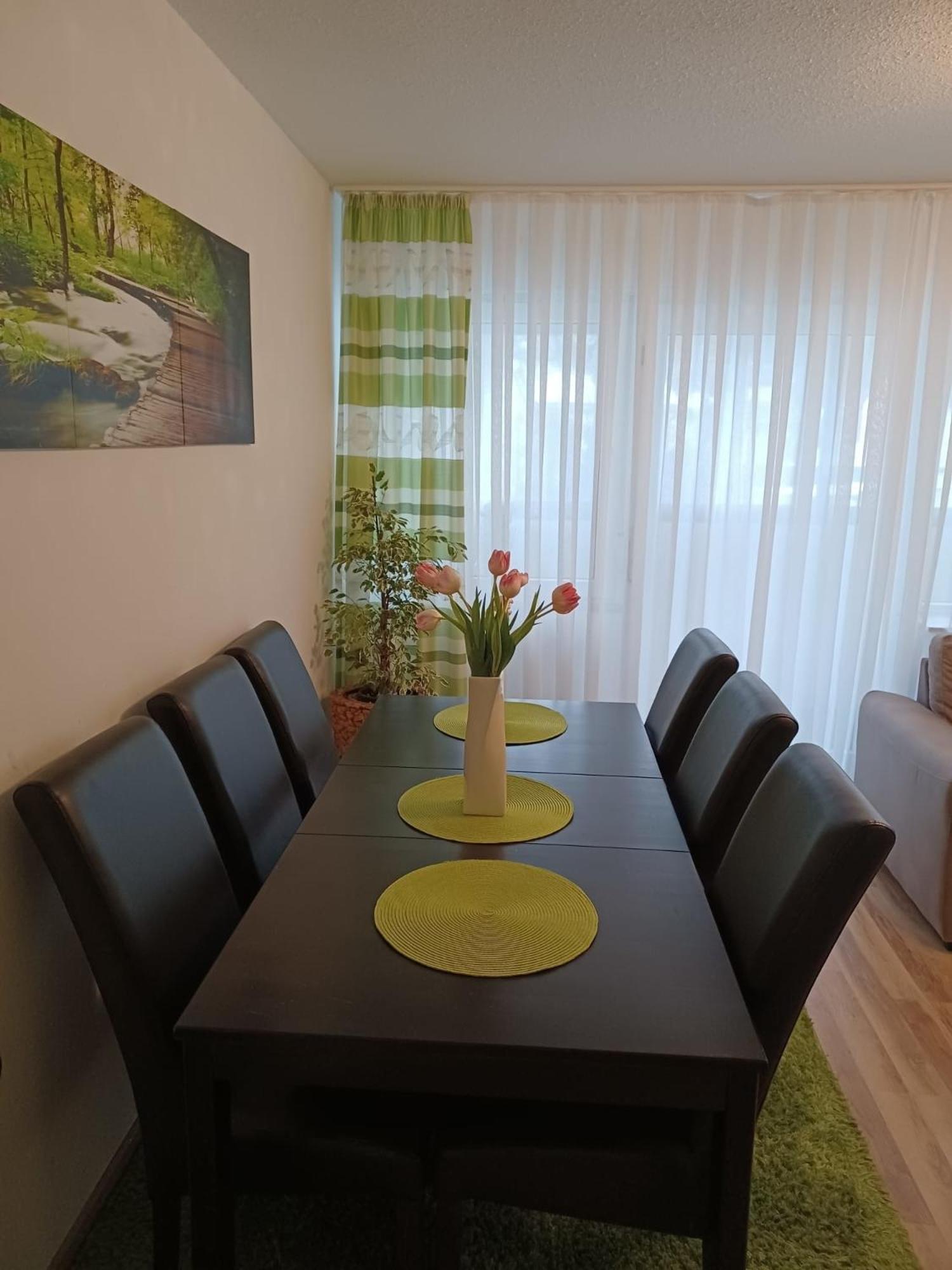H&A Apartment Baden Baden Esterno foto